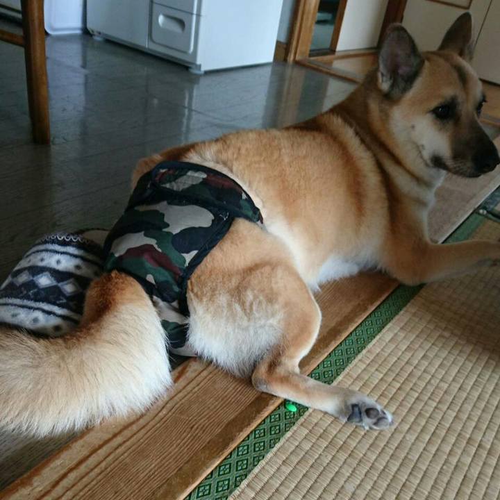 Ec0a605e 24b9 44ca b1e1 27a87b9c9674