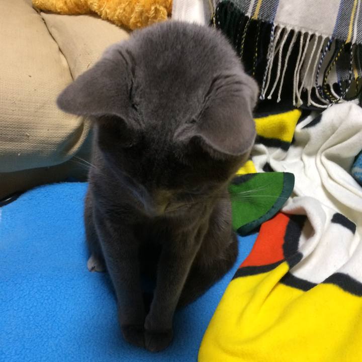 Ec0b6b02 12c3 4bd4 8069 a87cd78298f6