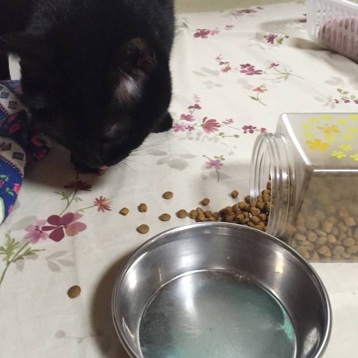 Ec0b76c1 3c61 441d 85ad 96aaf5528f42