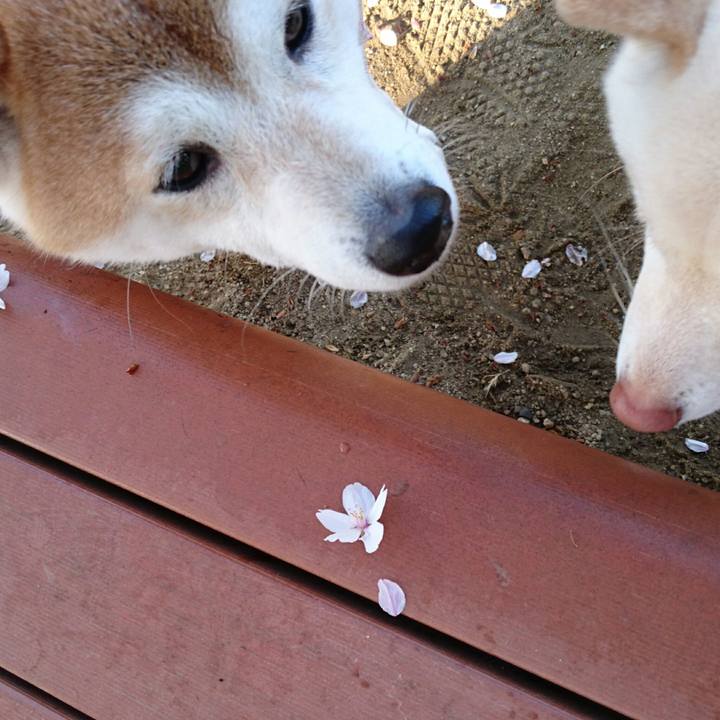 Ec0bdd9c 3e42 4af7 80c8 f667fb4e7643