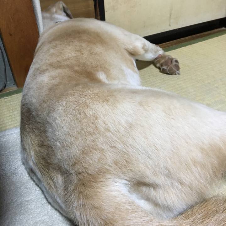 Ec0be696 9615 46a3 9bdc 37bbea242c06