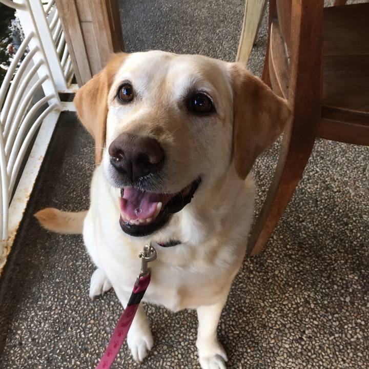 Ec0c4ced 9f56 486e adb1 137183c04c0e