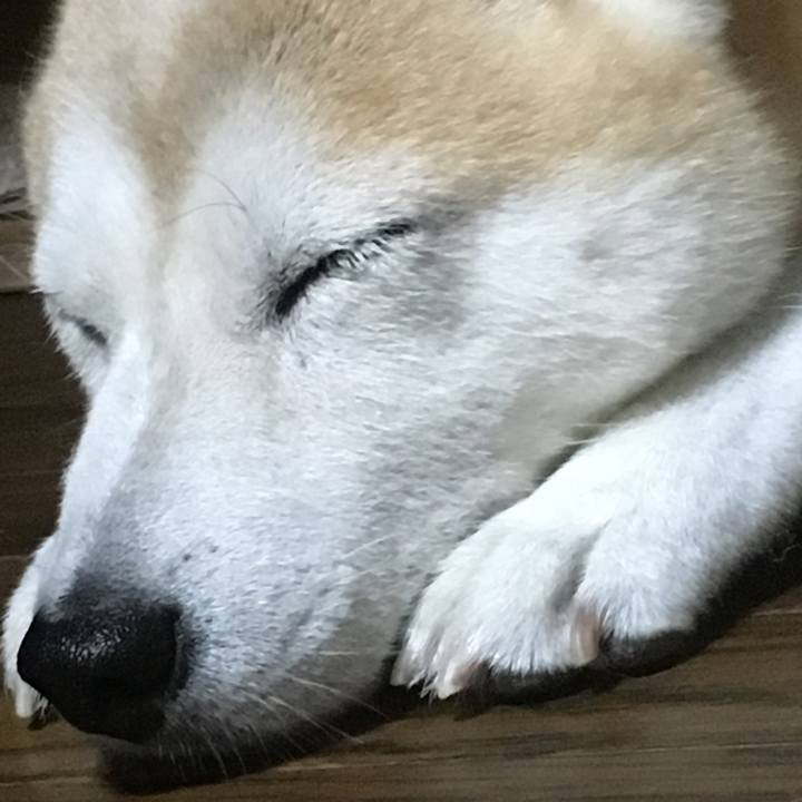 Ec0cb695 4c1e 4a00 8b15 ff3ae864a9bc