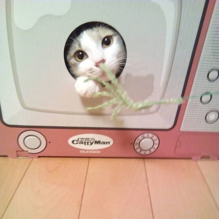 Ec0d3bab 6b23 4b44 a488 c88ba1db314b