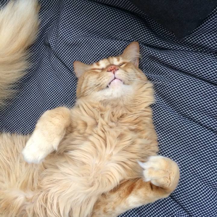 Ec0d47e9 ecbd 4341 9017 a9dcd64ab50d