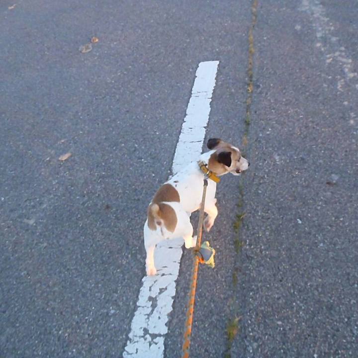 Ec0d8acc b534 4867 9a01 e9b031dc5144