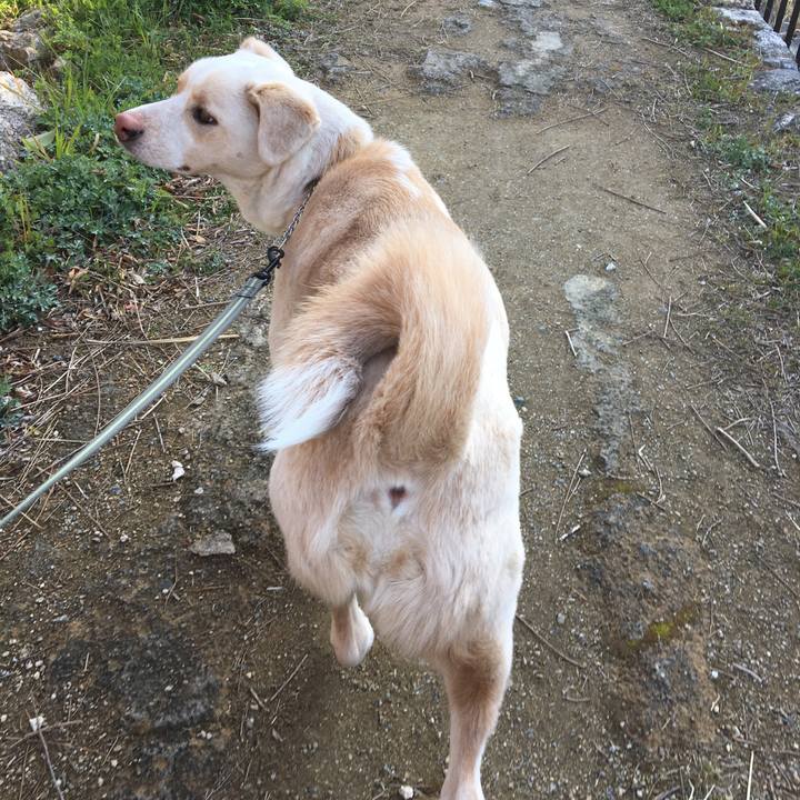 Ec0db1bf 1ccd 403a aeb8 f07533f755cd