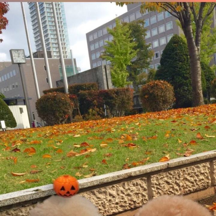 Ec0dff14 2ef7 4eac a380 61d4835b0dd7