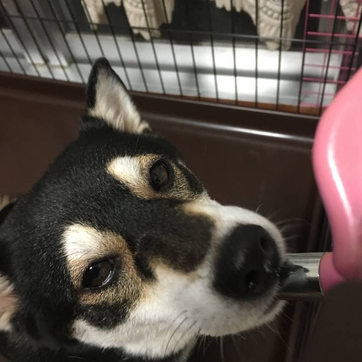 Ec0e2ec9 d7ca 4383 a051 ae7303dc05a2