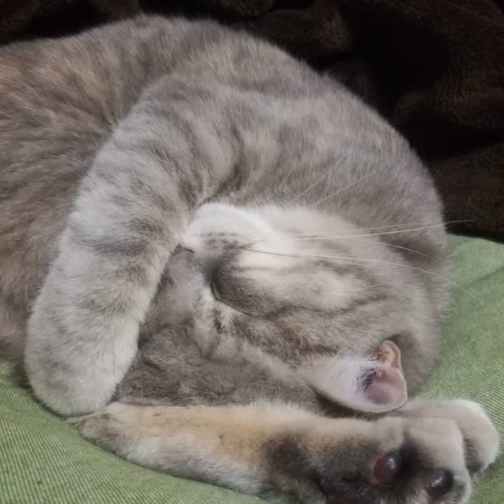 Ec0f13fd 6abc 4bd8 bd55 9f373339f463