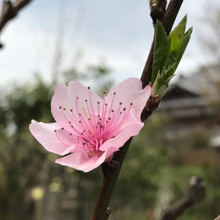 Ec0f7bad 405c 4914 9dcd c2447abc902e