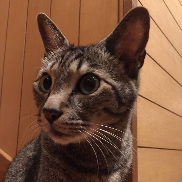 Ec0fcf32 b084 4495 8195 608df2ab68d9