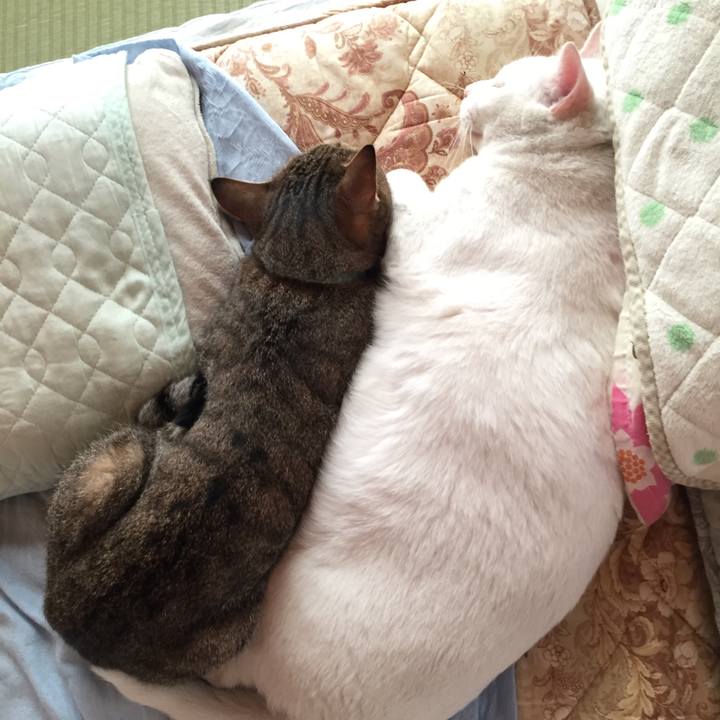 Ec10845f 8bc9 4f6d b5b9 83ae3471db45