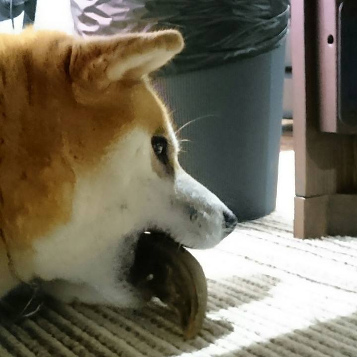 Ec10fcbd f506 4cc7 a11c b38633f26c5b