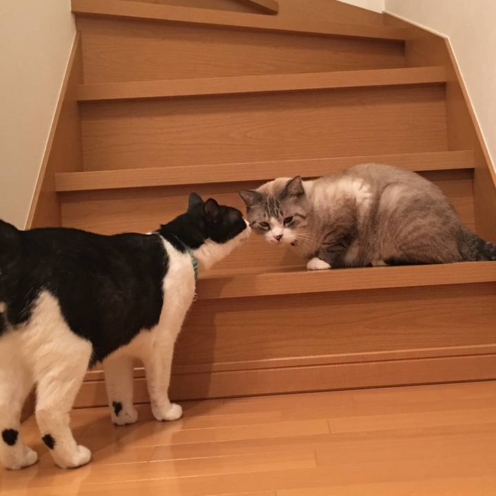 Ec110080 0e65 454b a472 6054f1f03986