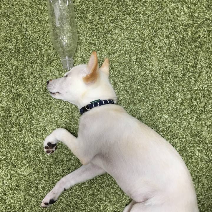 Ec113074 38c4 4a13 b177 ad1b3a08c751