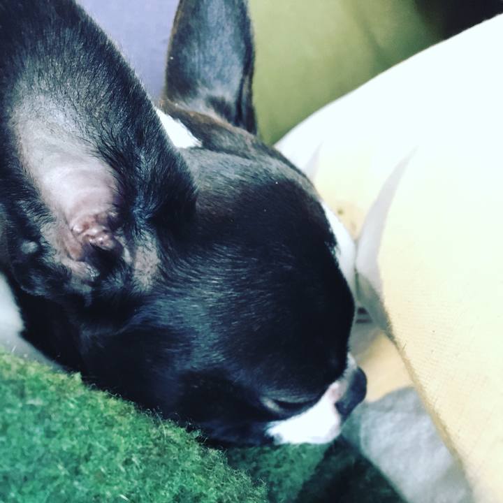 Ec11363b 2681 4ccd 8514 7b6f79b336ec