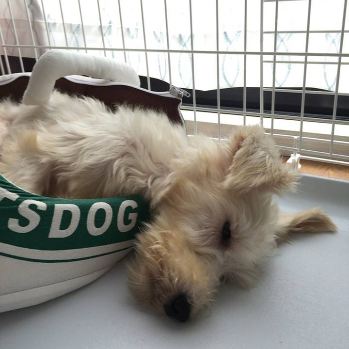 Ec11470f 6eb0 42e4 b1e2 6f33cb96406b