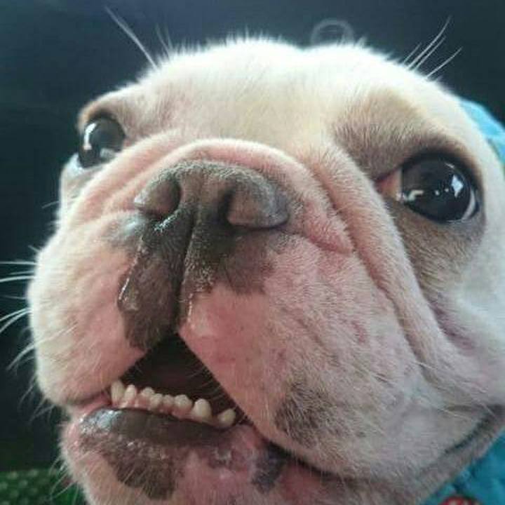 Ec11fe2a 54ac 412f 908a ffe47804a8a3