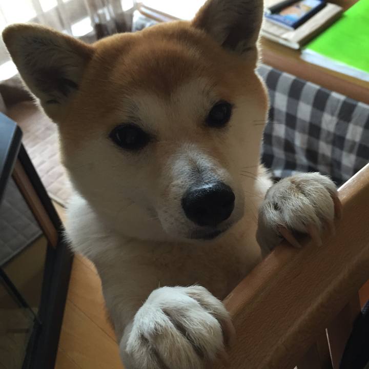 Ec1229f6 0caa 4469 b884 d4c3e882bf33