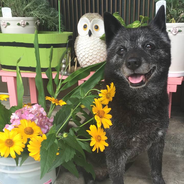 Ec123ee0 81a4 408b ac5c 7c5ea980439d