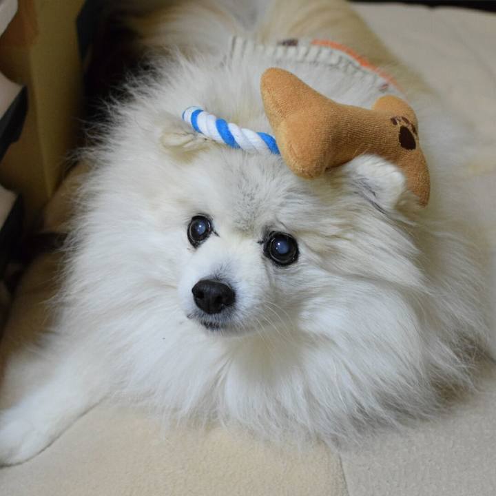 Ec133b80 af2f 4c72 9d9e c2286df4b074