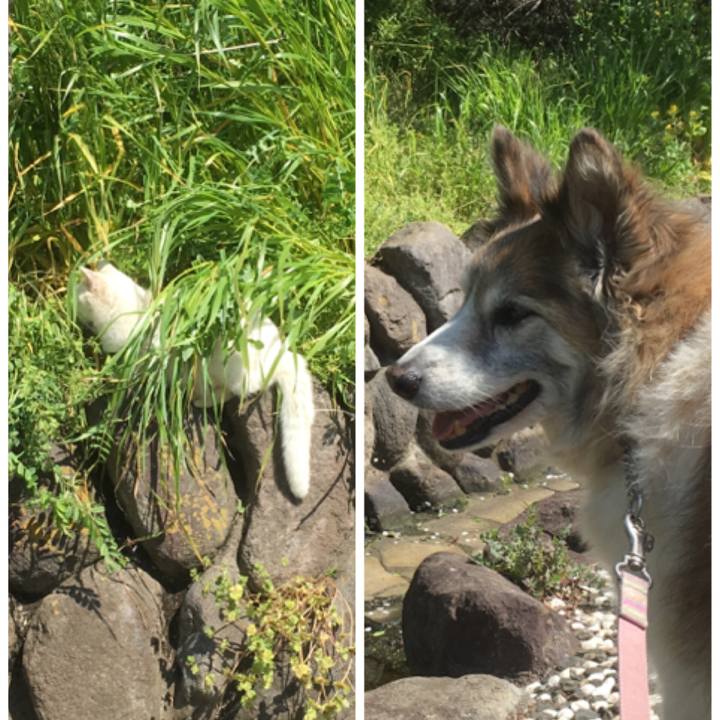 Ec139aed e349 4c59 ba98 3daee577e159