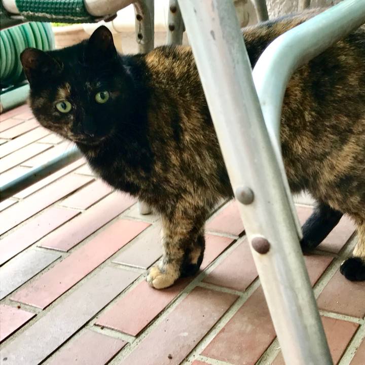 Ec14843d 30f6 461f a19e 0b4a4eadaeb5