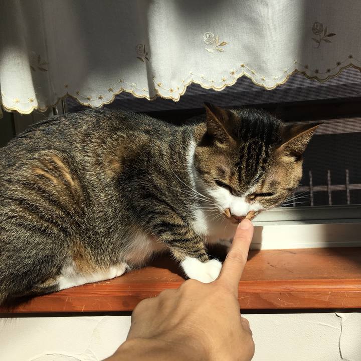 Ec14a85c 57d6 438b 8438 9e5ac66032a5