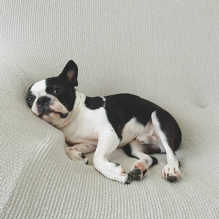 Ec15090b 74df 48a1 ad15 0351c7379f77