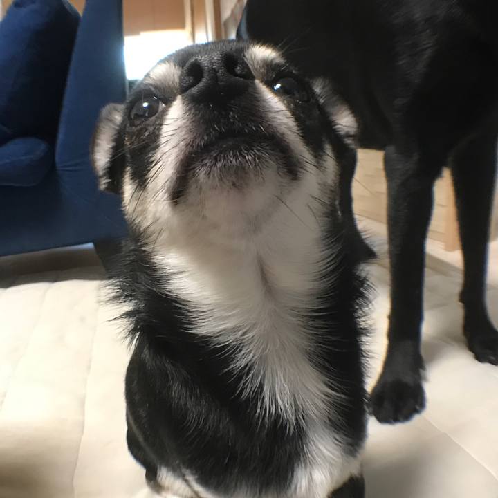 Ec152e18 71d4 4efa b50f e4e2df9c85fa