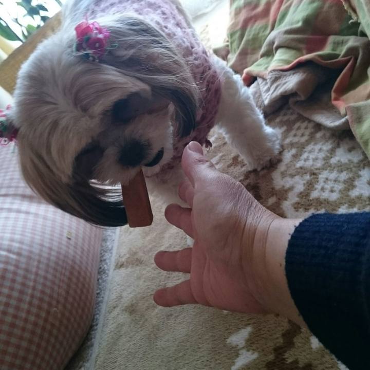 Ec1576d3 7a01 4f16 b2cc f6d3ec5afa10