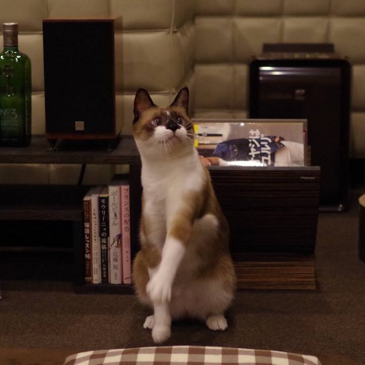 Ec15b85c a2f8 43e3 b5d0 6492d5f19602