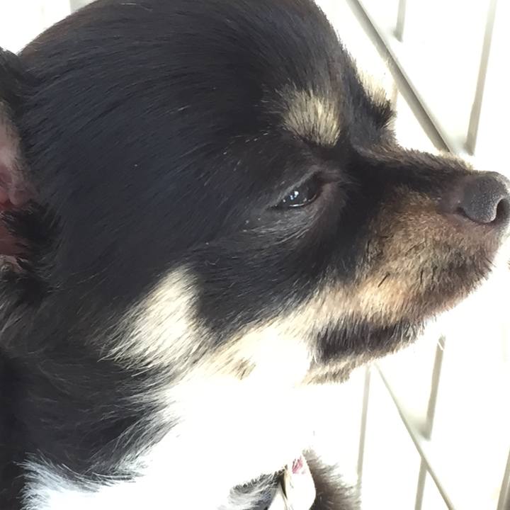 Ec160db3 62c7 4d84 9ad2 c8504ae5981e