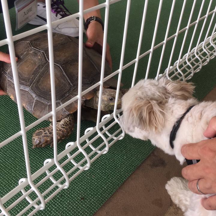 Ec17c1e0 abea 4acd 909b 60030b3963f5