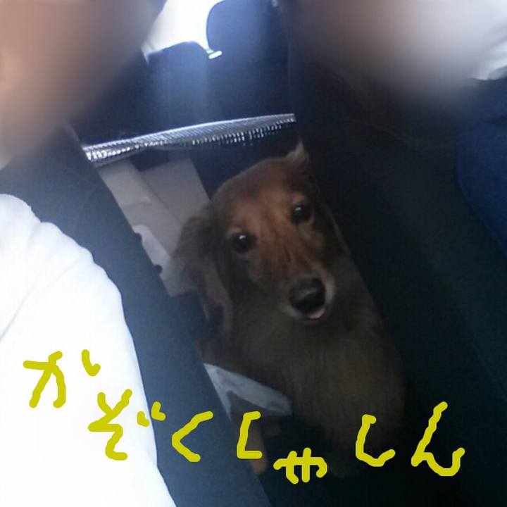 Ec17d4ea 26fa 42aa 9554 835b8bce977b