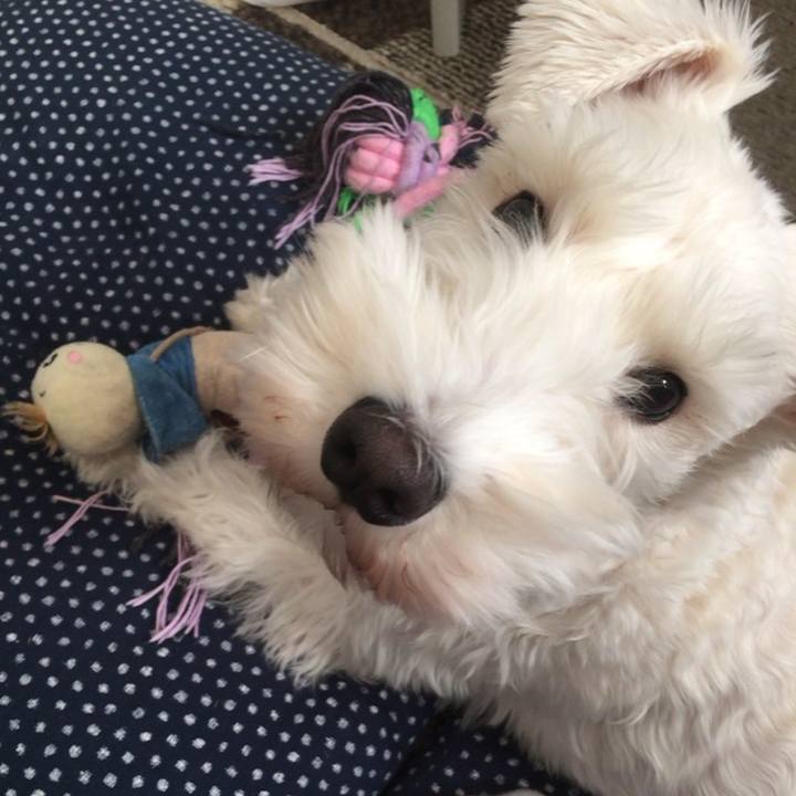 Ec17e62d 1c07 4067 90fe d7e0c4913b3f