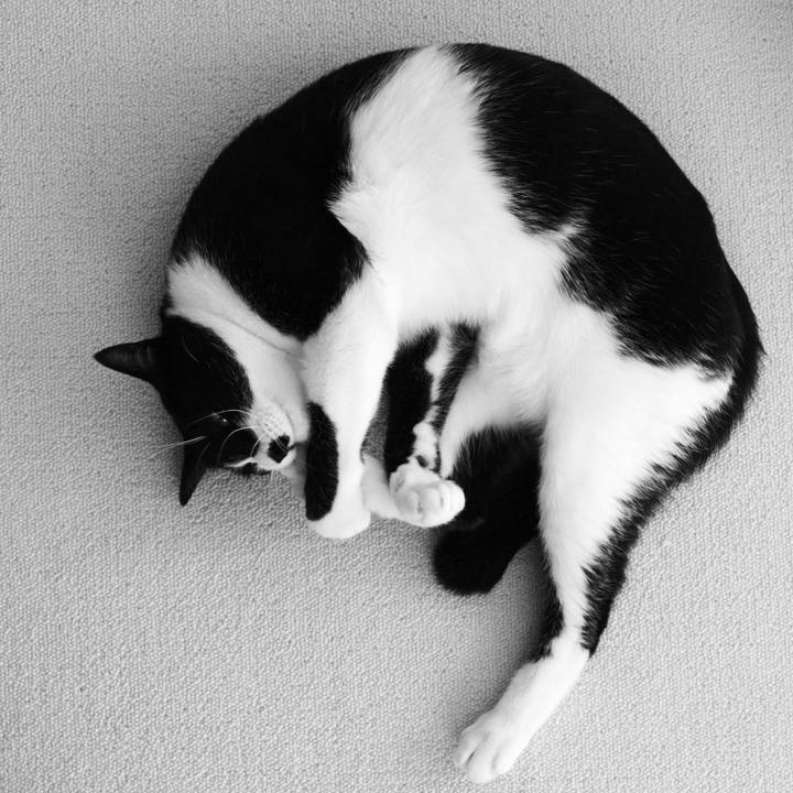 Ec184076 b094 48b3 95da 89a41f427934