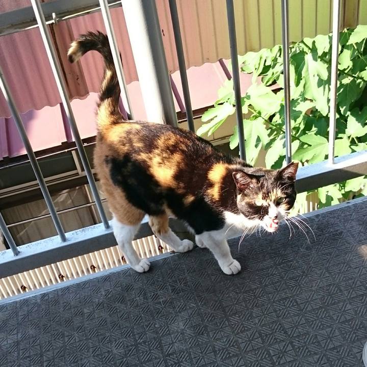 Ec19126e 7e26 4e90 a950 e3d5bfd5709f