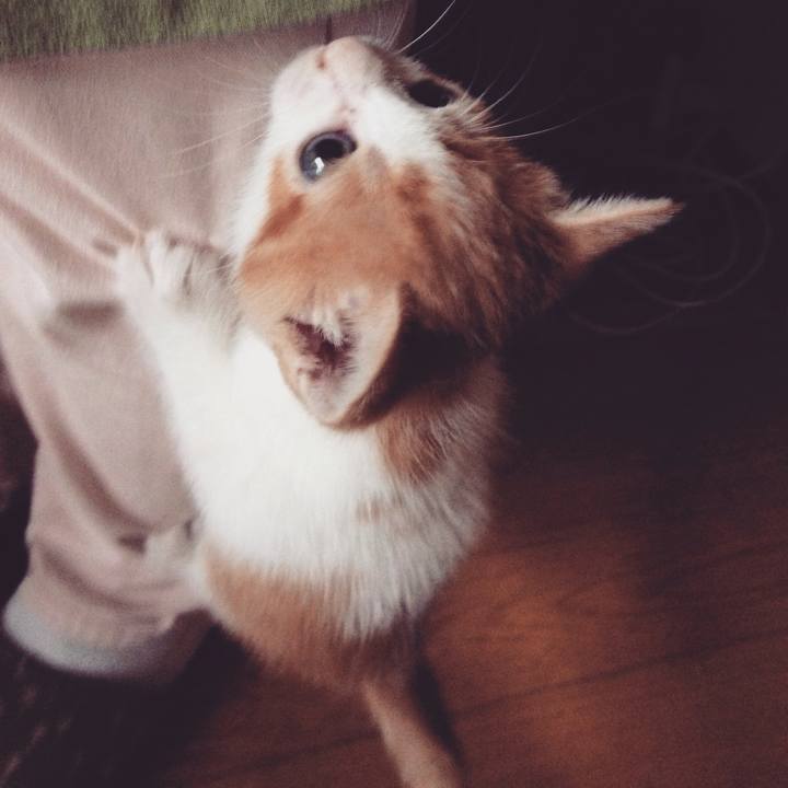 Ec198a17 ed60 4618 881c b779808ac427