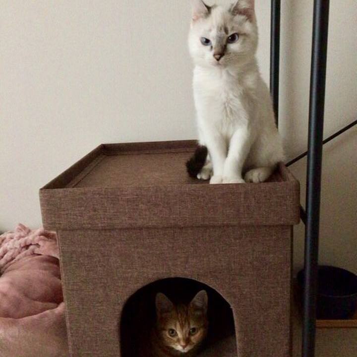 Ec1a56c8 919d 4eb3 a146 dd105cb5780d