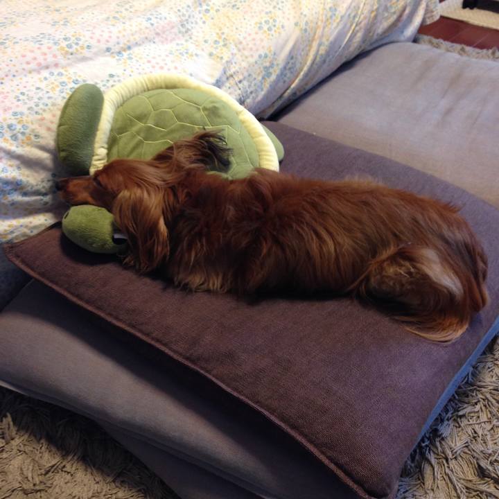 Ec1a5fea 98f5 4b83 a62f 8314b97925a4