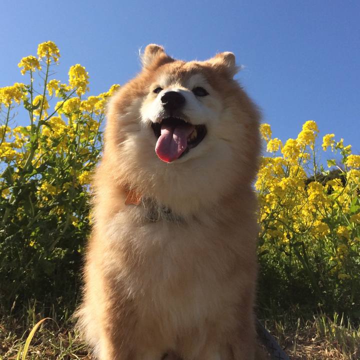 Ec1a76f6 bf0c 489e 9b0f b4d5600b9915