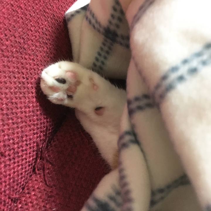 Ec1b5b8b 5296 4ae4 8d85 67072b0a992e