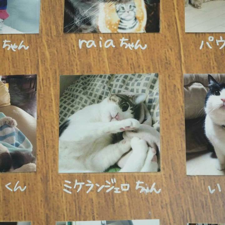 Ec1c6461 31d2 4021 8f68 5487116f4fdd