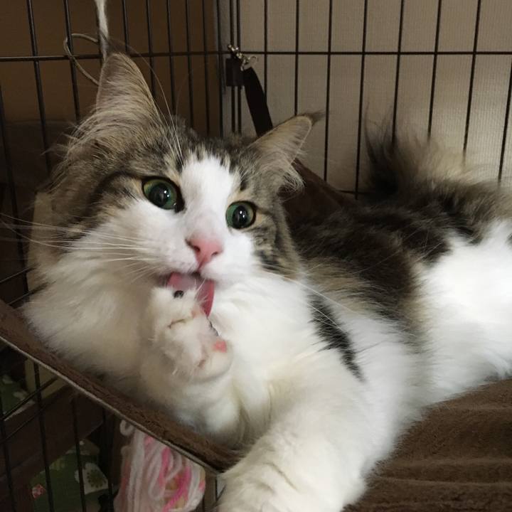 Ec1c99f7 aac0 4079 8a22 de71ed897829