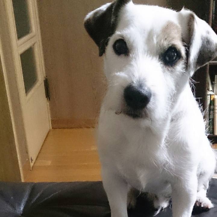 Ec1e018a 8323 43be 83b3 e9b8c2719818