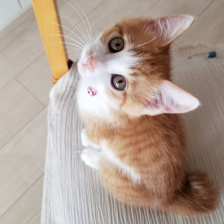 Ec1e6738 c1dd 4c5f 9bc0 9810beb890cc