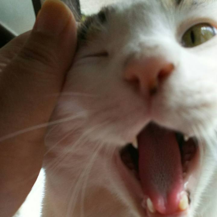 Ec20891a 8734 41c4 992a b98e45720351