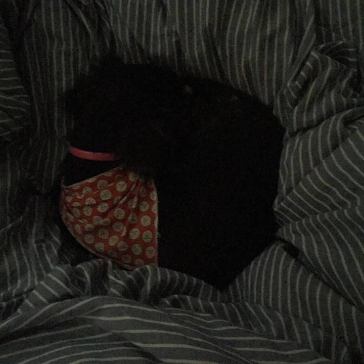 Ec21b3c1 28bf 46fd 9190 5f4630422ac6